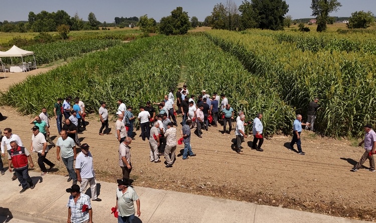 ASAS-Yesil-Enerji-Galeri-1